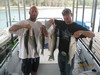 (09/21/2017) - Nice Striped Bass